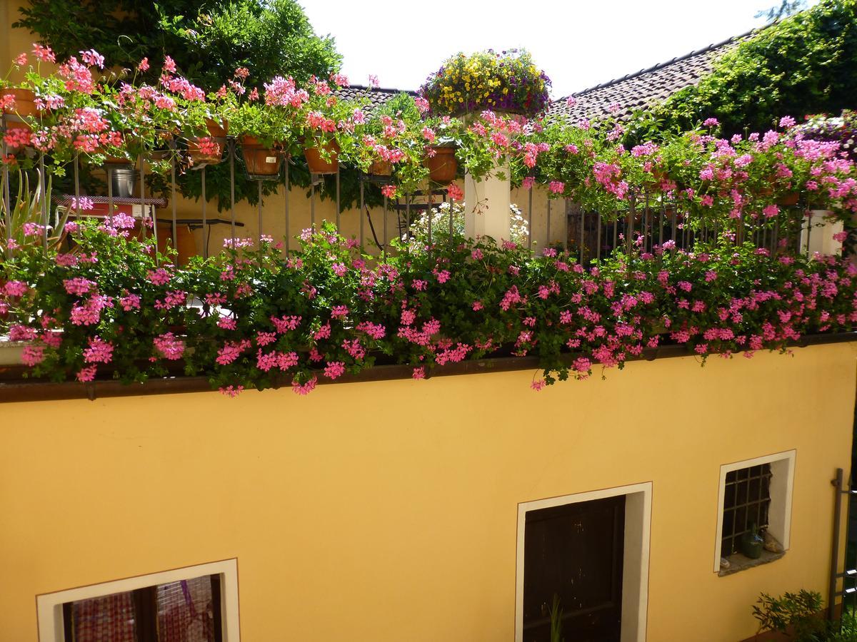 Chez Marianne "Chambres D'Hotes" Astano Exterior photo
